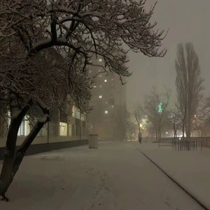 中出中文字幕MV免费高清在线
